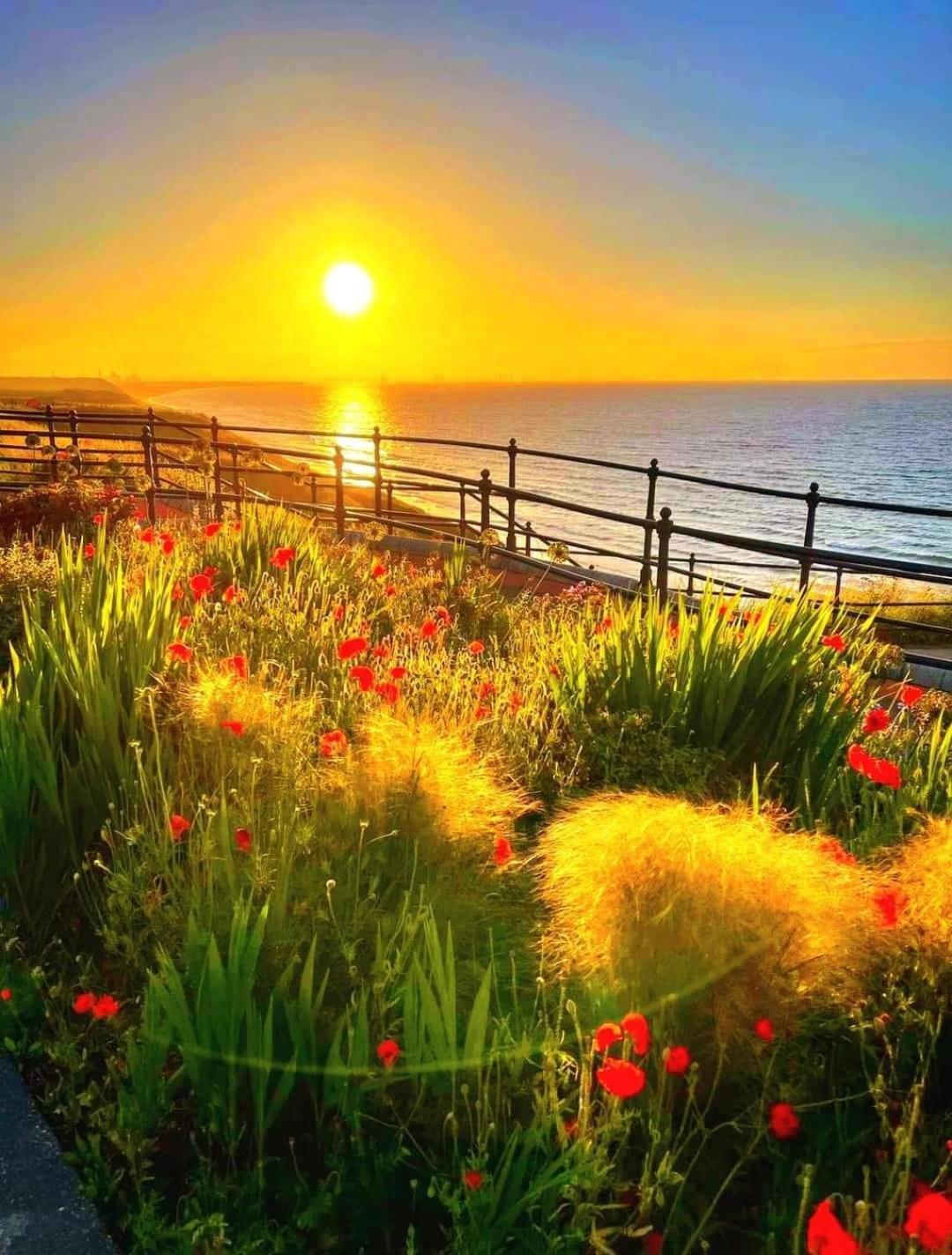 Captain'S Deck Beach Balcony Perfectlysaltburn Exterior foto
